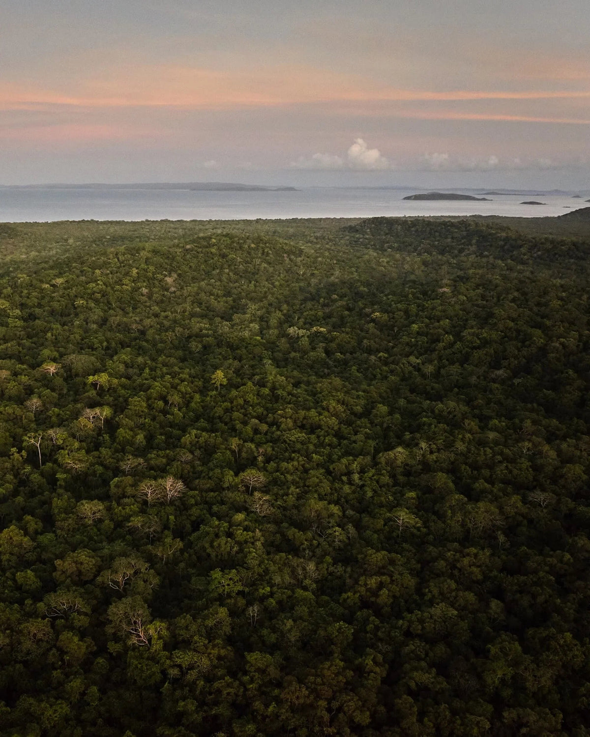 Our environmental impact